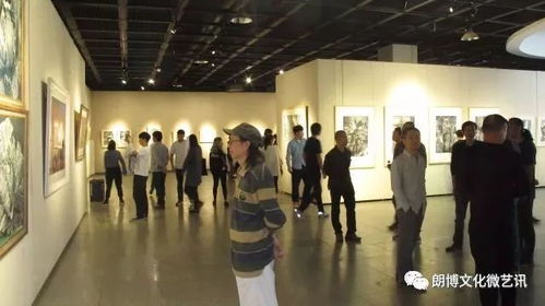 2017相思湖美术馆展览服务回顾——广西艺术学院精彩展览点萃